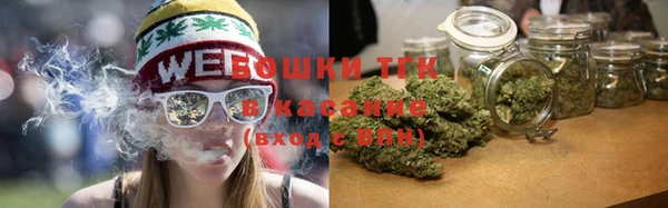 крисы Нея