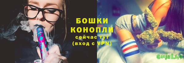 прущая мука Новодвинск