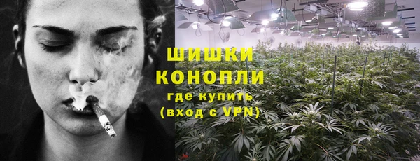 PSILOCYBIN Новокубанск