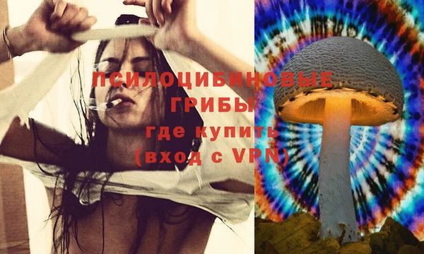 гидра Бутурлиновка