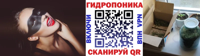 Купить  Грязовец  Канабис конопля 